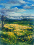 £520 framed